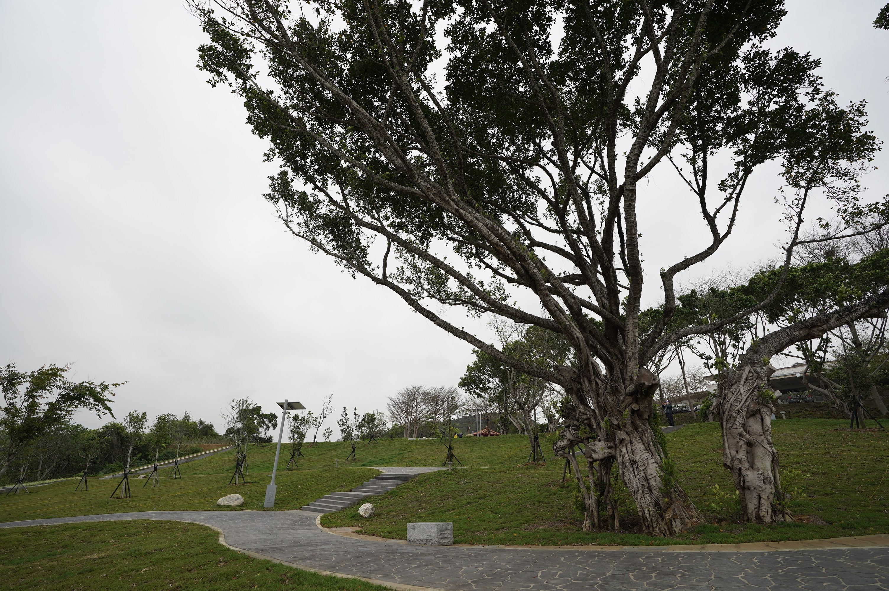 新竹市首座環保自然葬園區「詠生樹」