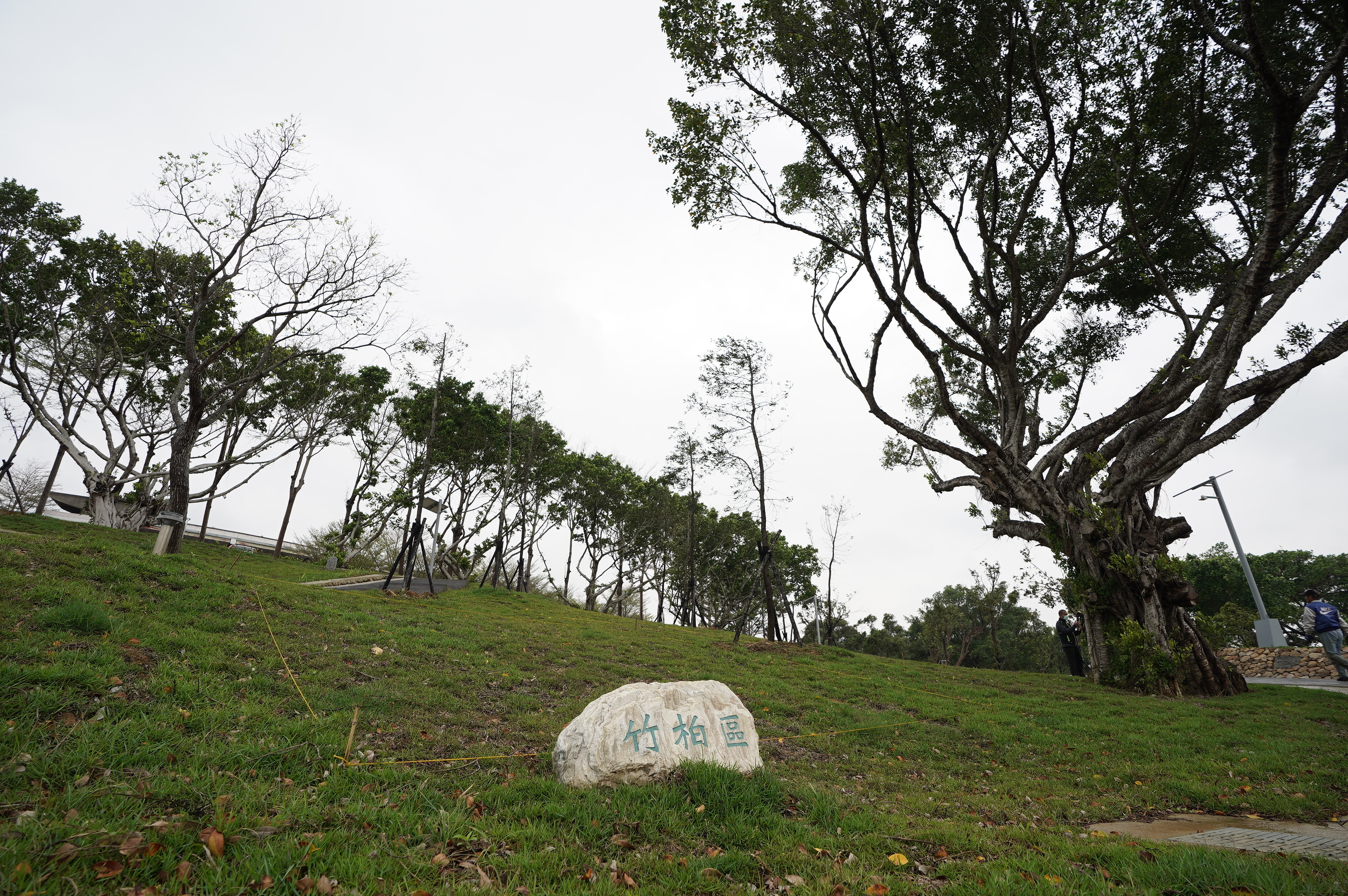 新竹市首座環保自然葬園區「詠生樹」